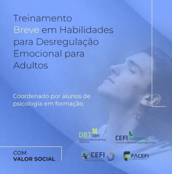 Treinamento Breve em Habilidades para Desregulação Emocional para adultos - GRUPO 2
