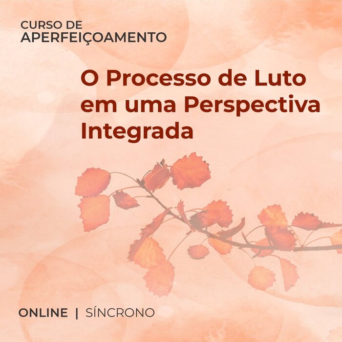 Processo de Luto em uma Perspectiva Integrada